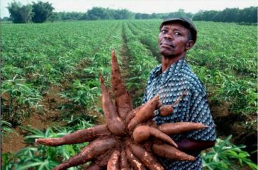 subsistence farming